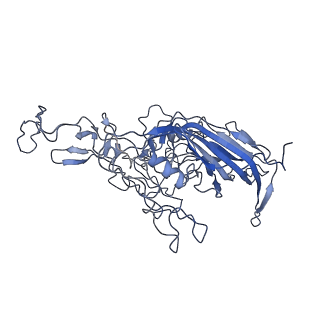 8598_5urf_T_v1-3
The structure of human bocavirus 1