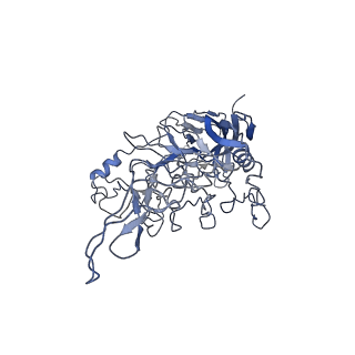 8598_5urf_U_v1-2
The structure of human bocavirus 1