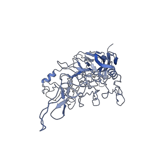 8598_5urf_U_v1-3
The structure of human bocavirus 1