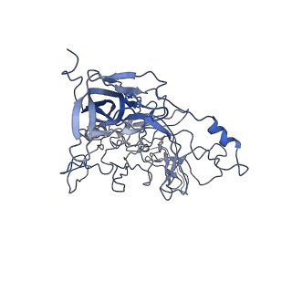 8598_5urf_V_v1-2
The structure of human bocavirus 1