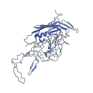 8598_5urf_X_v1-3
The structure of human bocavirus 1