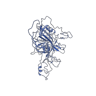 8598_5urf_Y_v1-2
The structure of human bocavirus 1