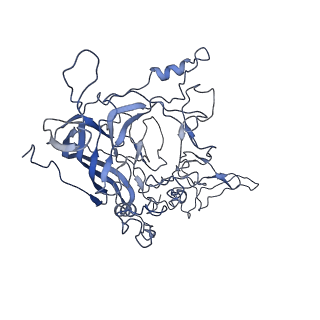 8598_5urf_Z_v1-2
The structure of human bocavirus 1