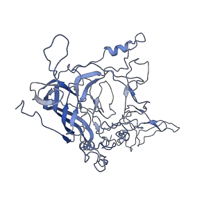 8598_5urf_Z_v1-3
The structure of human bocavirus 1