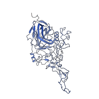 8598_5urf_a_v1-2
The structure of human bocavirus 1