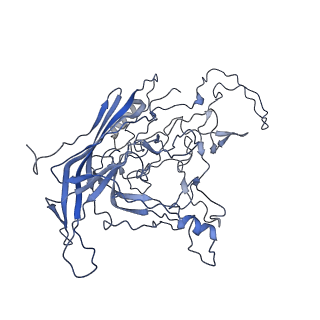 8598_5urf_b_v1-3
The structure of human bocavirus 1