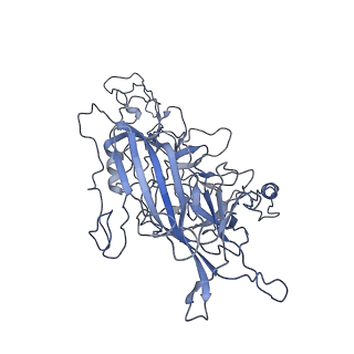 8598_5urf_c_v1-2
The structure of human bocavirus 1