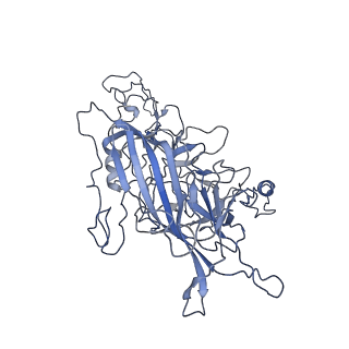 8598_5urf_c_v1-3
The structure of human bocavirus 1