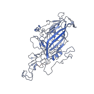 8598_5urf_e_v1-2
The structure of human bocavirus 1