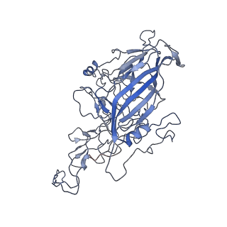 8598_5urf_e_v1-3
The structure of human bocavirus 1