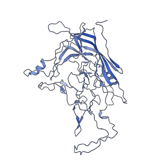 8598_5urf_f_v1-2
The structure of human bocavirus 1