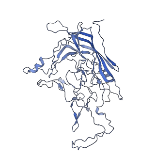 8598_5urf_f_v1-3
The structure of human bocavirus 1