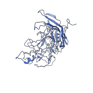 8598_5urf_g_v1-2
The structure of human bocavirus 1