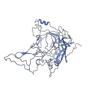 8598_5urf_h_v1-3
The structure of human bocavirus 1