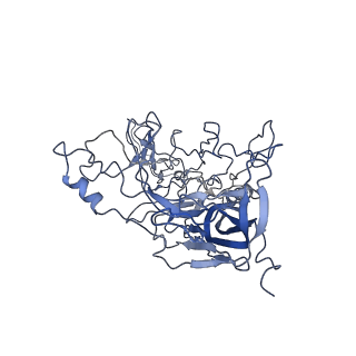 8598_5urf_i_v1-2
The structure of human bocavirus 1
