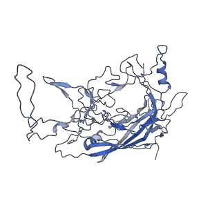8598_5urf_j_v1-2
The structure of human bocavirus 1