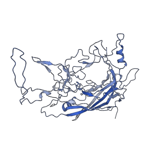 8598_5urf_j_v1-3
The structure of human bocavirus 1