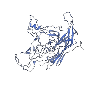 8598_5urf_k_v1-3
The structure of human bocavirus 1