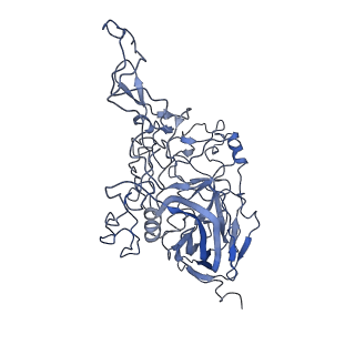 8598_5urf_l_v1-2
The structure of human bocavirus 1