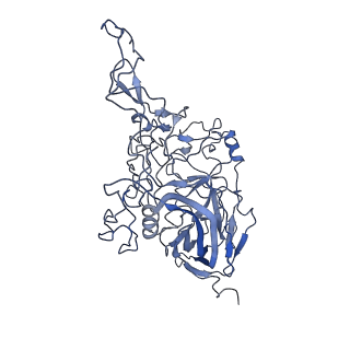 8598_5urf_l_v1-3
The structure of human bocavirus 1