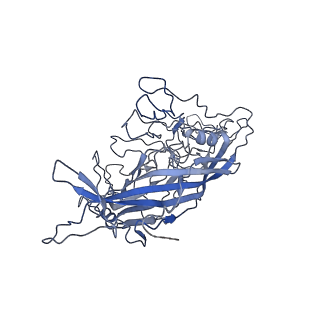 8598_5urf_m_v1-2
The structure of human bocavirus 1