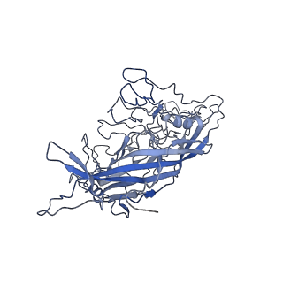 8598_5urf_m_v1-3
The structure of human bocavirus 1