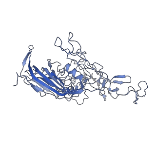 8598_5urf_n_v1-2
The structure of human bocavirus 1