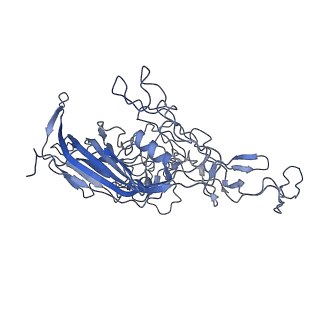 8598_5urf_n_v1-3
The structure of human bocavirus 1