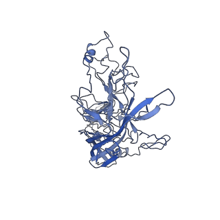 8598_5urf_o_v1-3
The structure of human bocavirus 1