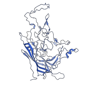 8598_5urf_p_v1-3
The structure of human bocavirus 1