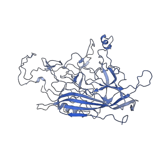 8598_5urf_q_v1-3
The structure of human bocavirus 1