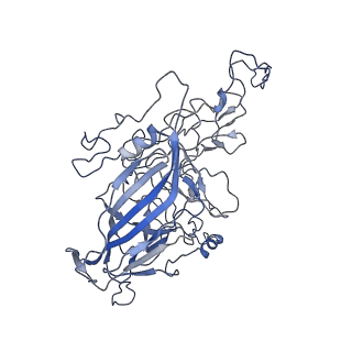 8598_5urf_r_v1-2
The structure of human bocavirus 1