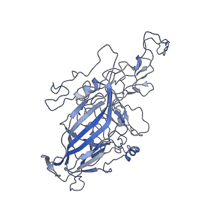 8598_5urf_r_v1-3
The structure of human bocavirus 1