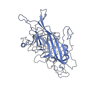 8598_5urf_s_v1-2
The structure of human bocavirus 1