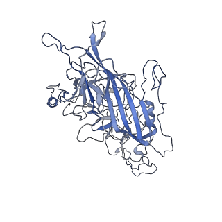 8598_5urf_s_v1-3
The structure of human bocavirus 1