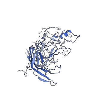 8598_5urf_t_v1-3
The structure of human bocavirus 1