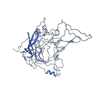 8598_5urf_u_v1-3
The structure of human bocavirus 1