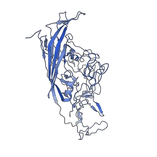 8598_5urf_v_v1-2
The structure of human bocavirus 1