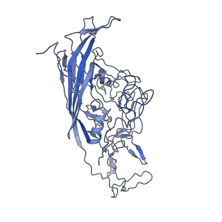 8598_5urf_v_v1-3
The structure of human bocavirus 1