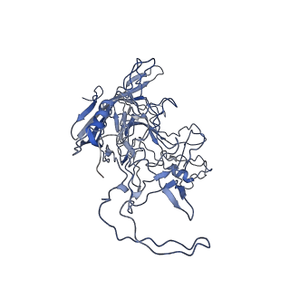 8598_5urf_w_v1-2
The structure of human bocavirus 1