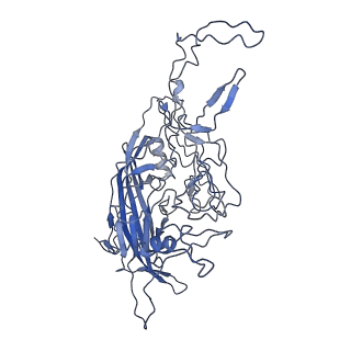 8598_5urf_x_v1-2
The structure of human bocavirus 1