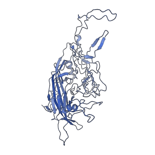 8598_5urf_x_v1-3
The structure of human bocavirus 1