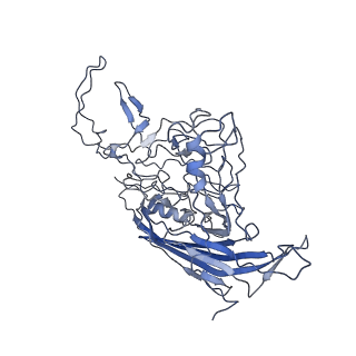 8598_5urf_y_v1-3
The structure of human bocavirus 1