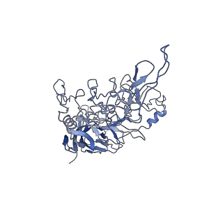 8598_5urf_z_v1-2
The structure of human bocavirus 1