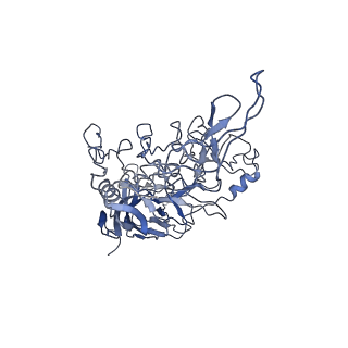 8598_5urf_z_v1-3
The structure of human bocavirus 1