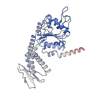 26722_7us2_A_v1-1
PARL-cleaved Skd3 (human ClpB) E455Q Nucleotide Binding Domain hexamer bound to ATPgammaS, open conformation