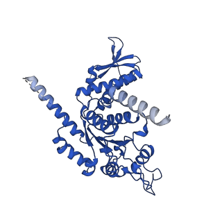 26722_7us2_D_v1-1
PARL-cleaved Skd3 (human ClpB) E455Q Nucleotide Binding Domain hexamer bound to ATPgammaS, open conformation