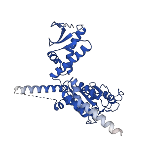 26722_7us2_E_v1-1
PARL-cleaved Skd3 (human ClpB) E455Q Nucleotide Binding Domain hexamer bound to ATPgammaS, open conformation