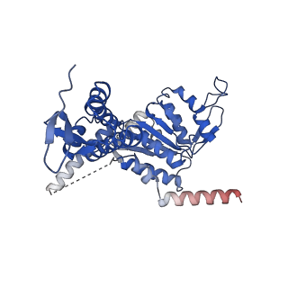 26722_7us2_F_v1-1
PARL-cleaved Skd3 (human ClpB) E455Q Nucleotide Binding Domain hexamer bound to ATPgammaS, open conformation