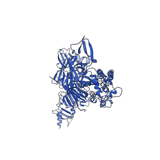 26727_7us6_C_v1-0
Structure of the human coronavirus CCoV-HuPn-2018 spike glycoprotein with domain 0 in the proximal conformation
